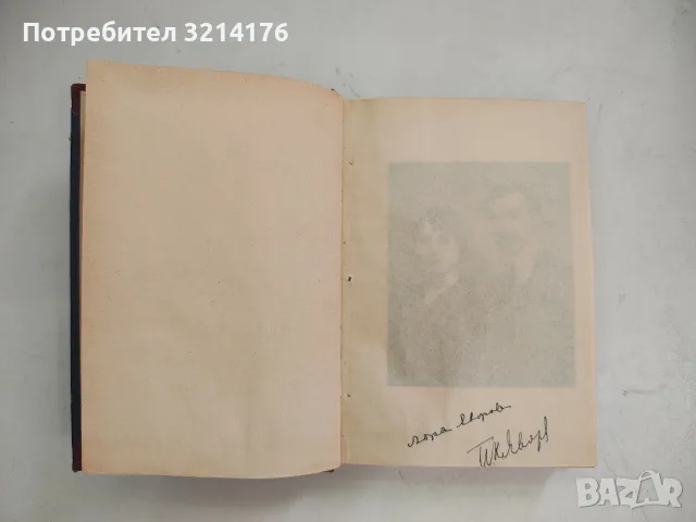 Лора до Яворовъ / Яворов като човек и поет - Лора Каравелова / Вичо Ивановъ 1935, С АВТОГРАФ от Лора, снимка 5 - Художествена литература - 55875959
