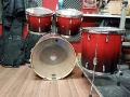 Pearl Vision Birch , снимка 8