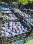 Синя слива за ракия без пестициди от производител, снимка 1