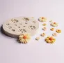1 бр., форма за шоколад с маргаритки, 3D силиконова форма, форма за бонбони с цветя, форма за фондан, снимка 3