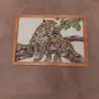 Гоблени на намалени цени кръстат бод , снимка 1