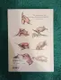 Atlas of Human Anatomy and Surgery: The Complete Coloured Plates - Jean-Baptiste Marc Bourgery, снимка 2