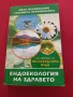 Ендоекология на здравето - Иван Неумивакин, Людмила Неумивакина, снимка 1