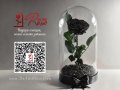 Луксозен Подарък за Жена / Естествена Вечна Черна Роза в Стъкленица / Хит Подарък за годишнина, снимка 13