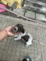 Лагото Романьоло, снимка 3