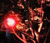 LED градински прожектор, червен цвят, 500 lm, немски, внос от Германия