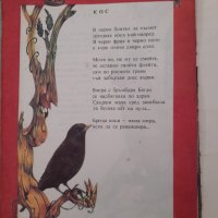 Синигерче в торбичка издателство Отечество 1989 г, снимка 6 - Детски книжки - 40612480