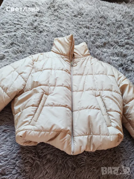 Късо яке , снимка 1