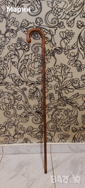 Колекционерски бастун, снимка 1