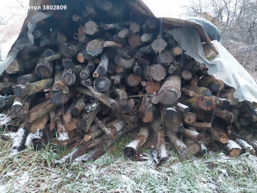 Дърва за  огрев , снимка 1