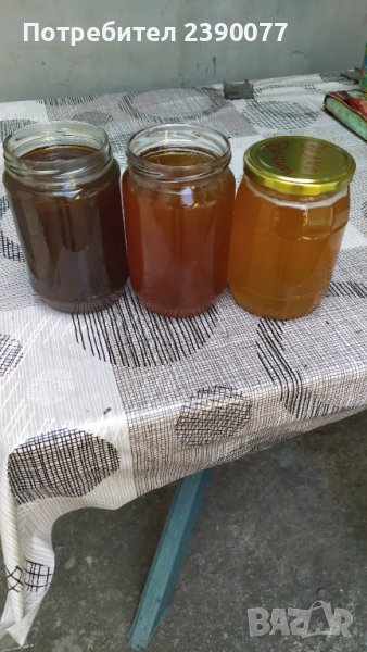 Пчелен мед полифлорен, Реколта 2022 г., снимка 1
