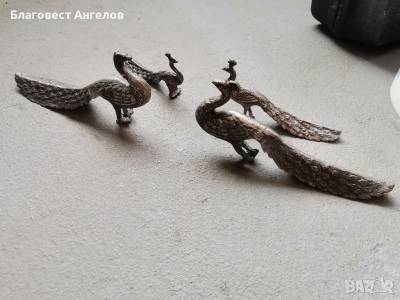 Пауни, снимка 1