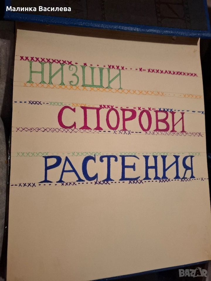 Хербарии, снимка 1