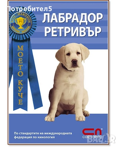 Лабрадор Ретривър Нона Килгор Бауер, снимка 1