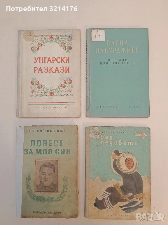 Сред ледовете - Тихон Сьомушкин, снимка 1