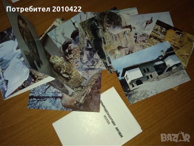 Картички за колекция, монети, снимка 7 - Колекции - 29735455