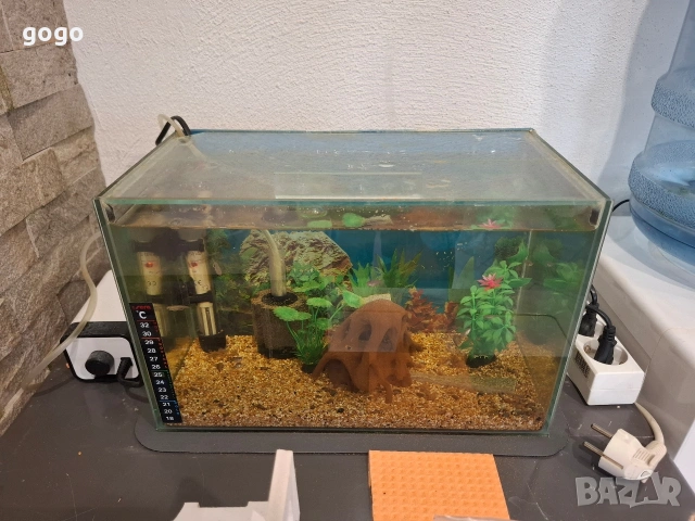 Аквариуми 4 броя, снимка 5 - Аквариуми - 54361578