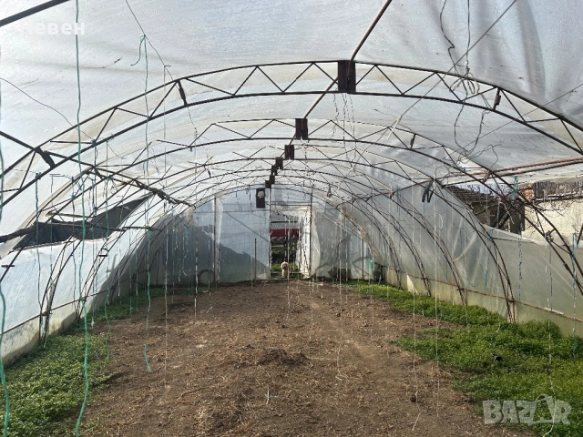 Дуловска оранжерия, снимка 3 - Оранжерии - 53296191