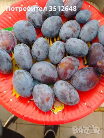 Продавам сини сливи .