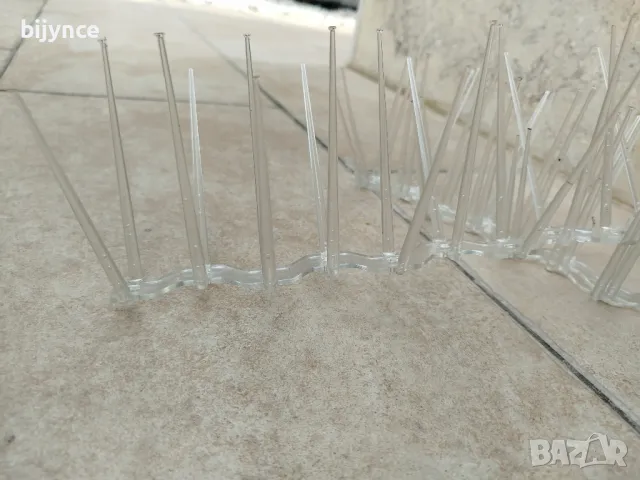 Шипове за птици 50см, снимка 2 - За птици - 49461808