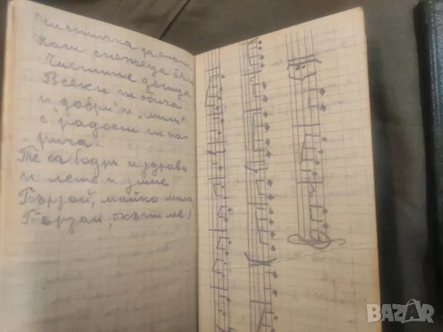 Лот учителка тефтери , рецепти Царство България - НРБ, снимка 3 - Други ценни предмети - 48034394