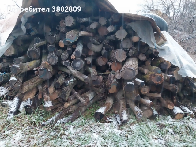 Дърва за  огрев 