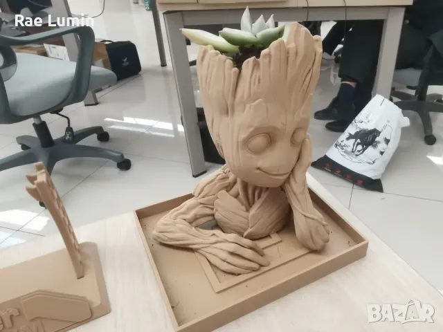 Саксия – Groot, снимка 1