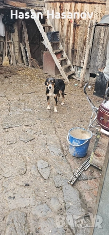 женска на 1г , снимка 2 - Други - 53249357