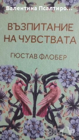 Възпитание на чувствата - Гюстав Флобер 