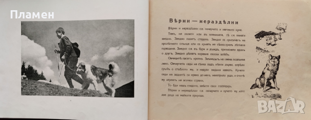 Другари-животни Ценко Цветанов, снимка 5 - Антикварни и старинни предмети - 44744649