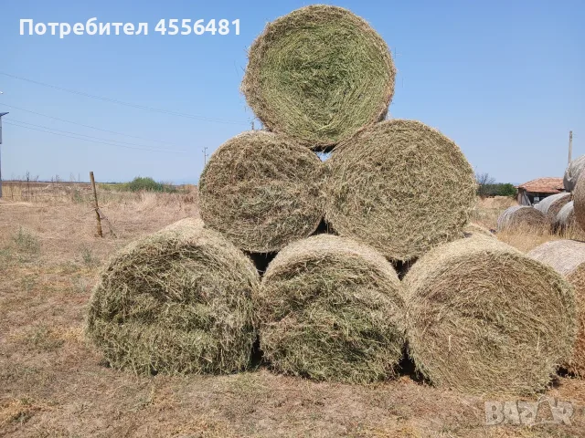 Ролони бали люцерна (слама), снимка 2 - За селскостопански - 55713086