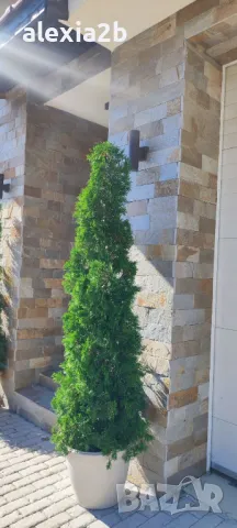 Естествен камък гнайс, снимка 6 - Облицовки - 47355084