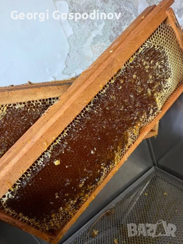 Пчелен мед “Букет”, снимка 12 - Пчелни продукти - 48372536