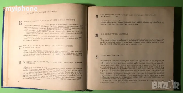Стара Книга 599 Съвета за Любителя Цветар, снимка 5 - Специализирана литература - 49203115
