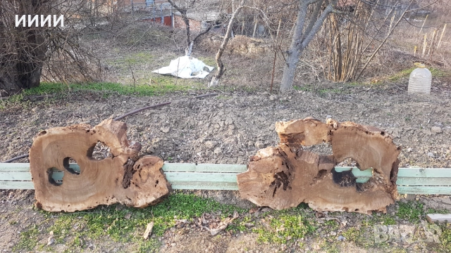 Шайби от орех, снимка 2 - Други - 51118755