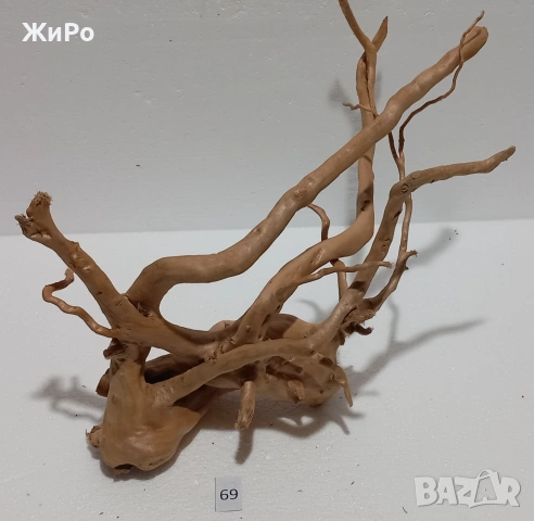 Корен от Азалия /декорация/ 69, снимка 2 - Други - 54102509