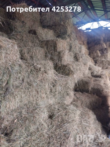 Продавам Бали Люцерна !, снимка 6 - За селскостопански - 52836781