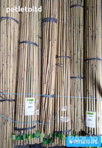 Колчета ( БАМБУК ) 2,10 метра / 50 бр, снимка 4 - Други стоки за дома - 36902239