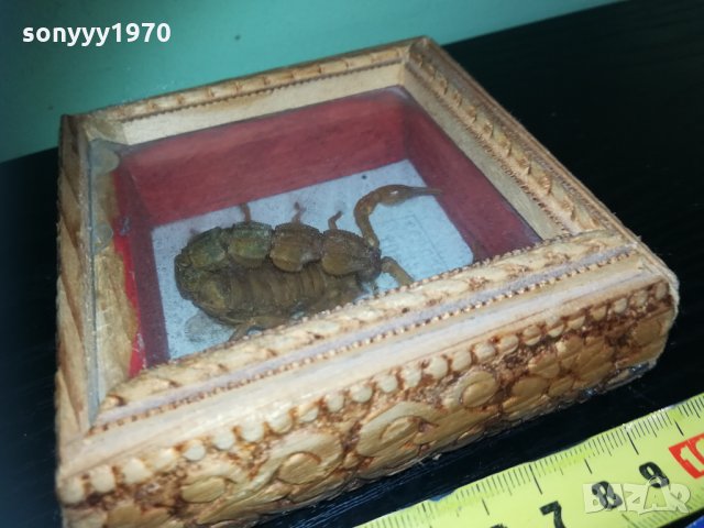 скорпион-внос france 1910201740, снимка 15 - Колекции - 30478693