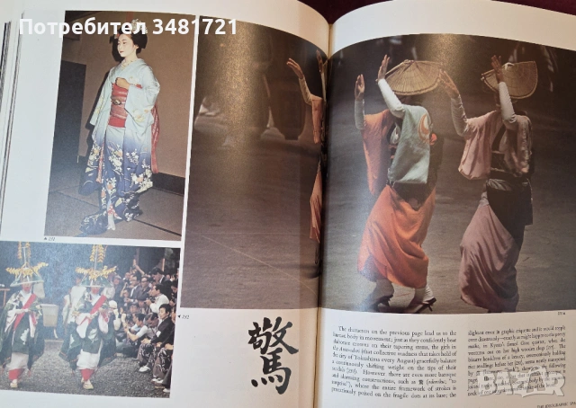 Япония - модели на приемственост / Japan. Patterns of Continuity, снимка 13 - Художествена литература - 54243921