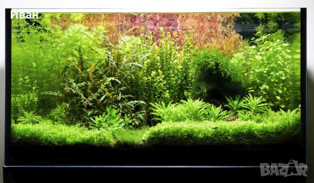 Торове за аквариумни растения, снимка 5 - Други - 40176371