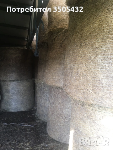 Бали сено, снимка 2 - Други - 52445825