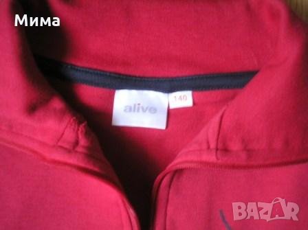 Нови блузи с дълъг ръкав „ZARA”, 12 г., снимка 7 - Детски Блузи и туники - 23847305