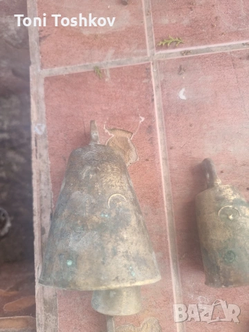Бронзови Камбани , снимка 2 - Овце - 53911399