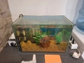 Аквариуми 4 броя, снимка 5