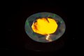 Фасетиран етиопски опал 0.42ct овална шлифовка #4, снимка 1
