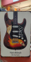 SRV Fender Stratocaster-метална табела(плакет), снимка 2