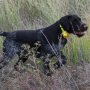 Електронен Бийпър за ловни кучета, презареждаща батерия, водоустойчив, снимка 8