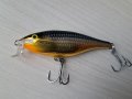 Rapala Shallow Runner-SPECIAL 