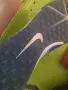Nike Fantom Original Size 44 , снимка 6
